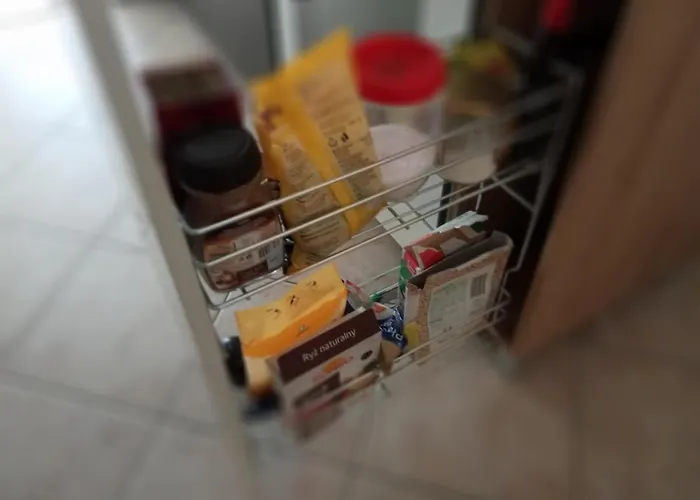 Paderewski Apartament *