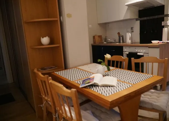 Paderewski Apartament Poznań