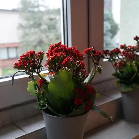 Апартаменты Paderewski